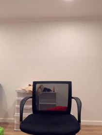 Poster for Roast video from Max Caruso