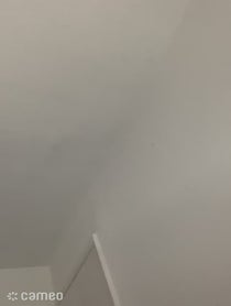 Poster for Intro video video from pgtips