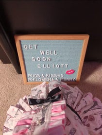 Poster for Pep Talk video from Philomena The Pug