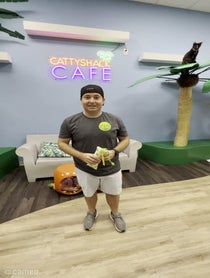 Poster for Intro video video from Andrew From Cattyshack Cat Cafe