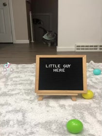 Poster for Other video from Little Guy
