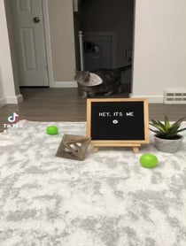 Poster for Other video from Little Guy