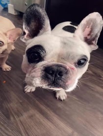 Poster for Other video from Walter Geoffrey