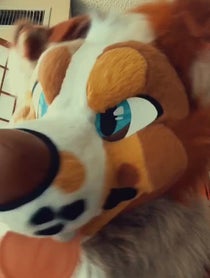 Poster for Intro video video from TwilightSaint