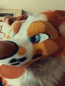 Poster for Intro video video from TwilightSaint