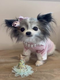 Poster for Birthday video from The Lil Gremlins