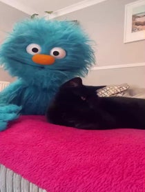 Poster for Birthday video from Milo’s World