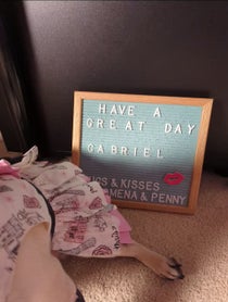 Poster for Other video from Philomena The Pug