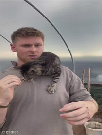 Poster for Intro video video from Harry And Lippy