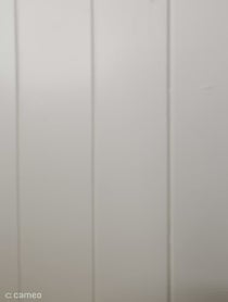 Poster for Intro video video from Chelsea Rose Fitzy