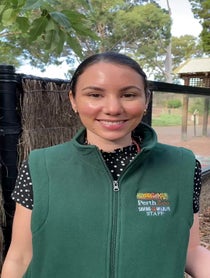 Poster for Birthday video from Quokka The Happiest Animal In The World