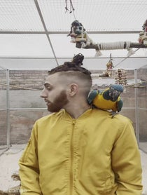 Poster for Intro video video from BirdMan