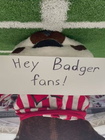 Poster for Intro video video from Bucky Badger