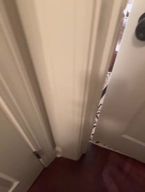 Poster for Other video from FunnyManGaitlin