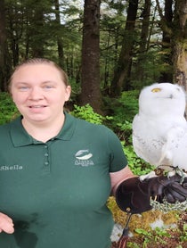 Poster for Other video from Alaska Raptor Center