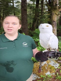 Poster for Birthday video from Alaska Raptor Center