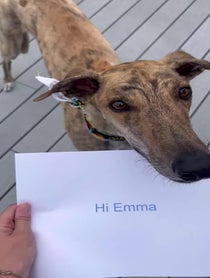 Poster for Birthday video from Risk it all Paul