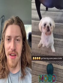 Poster for Roast video from Dularians