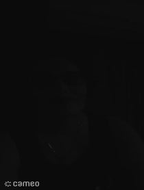 Poster for Intro video video from Nass Janelle