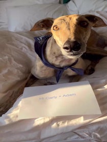 Poster for Other video from Risk it all Paul