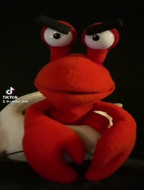 Poster for Other video from Cranky Crab