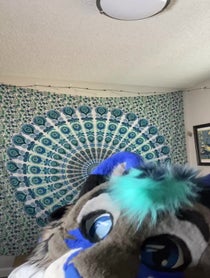 Poster for Birthday video from Nalu Catfish