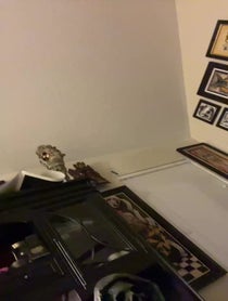 Poster for Birthday video from Malakai Black