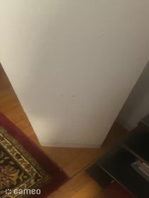 Poster for Intro video video from Test Shane