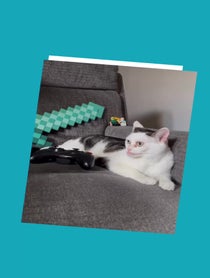 Poster for Birthday video from Buscemi Cat