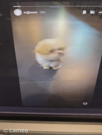 Poster for Intro video video from Jinwoo Kim