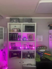 Poster for Roast video from Tasteless