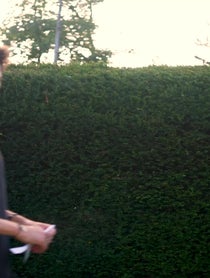 Poster for Give Thanks video from KingChris