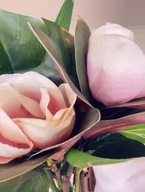 Poster for Birthday video from Mitch and Mark