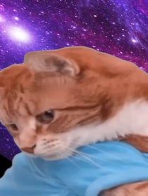 Poster for Other video from Keyboard Cat