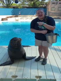 Poster for Birthday video from Sea Lions at Houston Zoo
