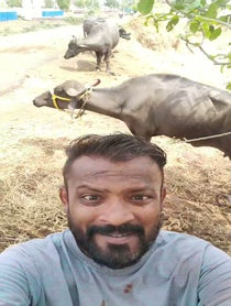 Poster for Birthday video from Indian Buffalo Man