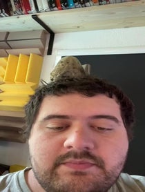 Poster for Roast video from Meatcanyon