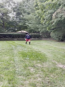 Poster for Intro video video from Nicky Cass