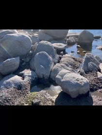 Poster for Birthday video from Mermaid Shannon