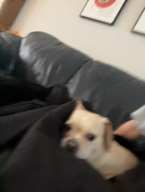 Poster for Birthday video from WOOFY AND JENNA