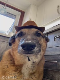 Poster for Intro video video from Django Smiles