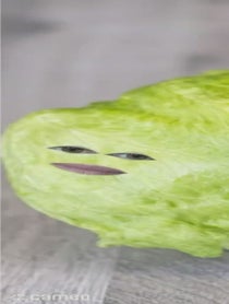 Poster for Intro video video from The Lettuce