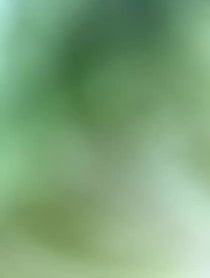 Poster for Pep Talk video from The Lettuce