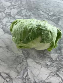 Poster for Other video from The Lettuce