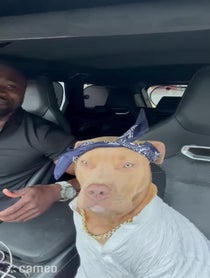 Poster for Intro video video from Love N Naz