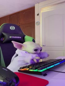 Poster for Birthday video from Yodabeibi