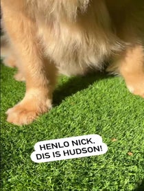 Poster for Birthday video from Hudson B. Mason