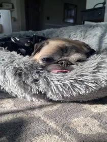 Poster for Pep Talk video from Jonathan Graziano