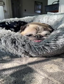 Poster for Other video from Jonathan Graziano