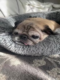 Poster for Other video from Jonathan Graziano